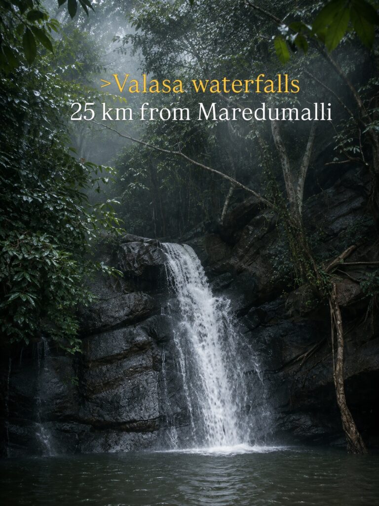 Valasa waterfall dropping over a dark rock face into a forest pool